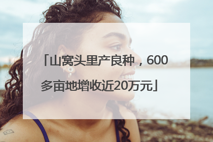 山窝头里产良种，600多亩地增收近20万元