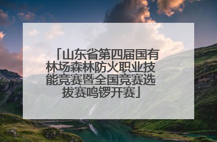 山东省第四届国有林场森林防火职业技能竞赛暨全国竞赛选拔赛鸣锣开赛