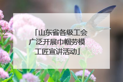 山东省各级工会广泛开展巾帼劳模工匠宣讲活动