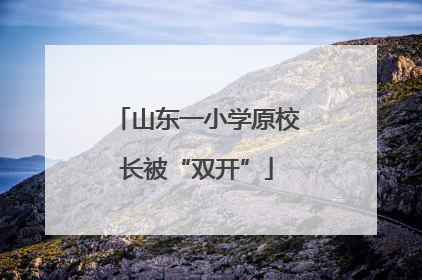 山东一小学原校长被“双开”
