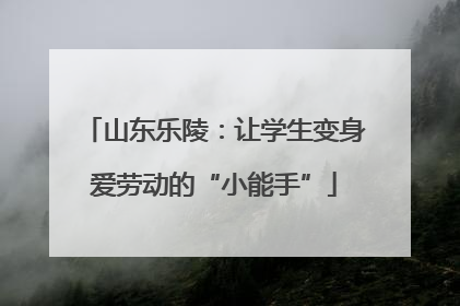 山东乐陵：让学生变身爱劳动的“小能手”