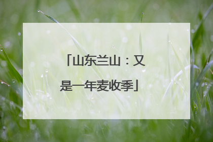 山东兰山：又是一年麦收季