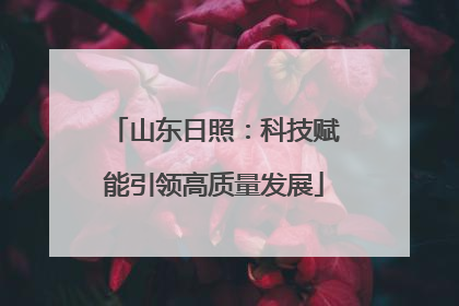 山东日照：科技赋能引领高质量发展