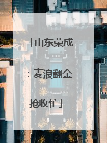 山东荣成：麦浪翻金抢收忙
