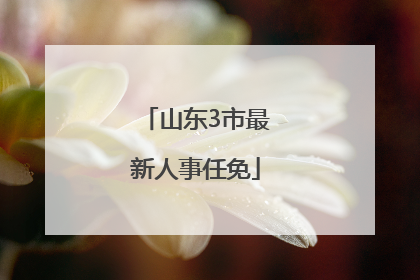山东3市最新人事任免
