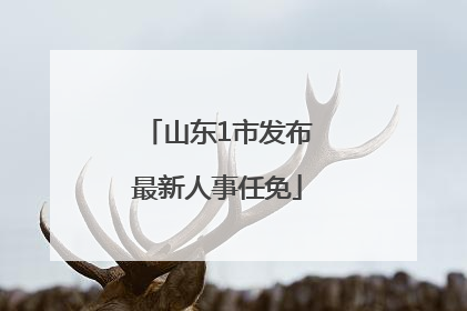 山东1市发布最新人事任免