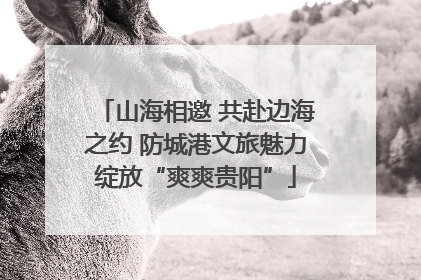 山海相邀 共赴边海之约 防城港文旅魅力绽放“爽爽贵阳”