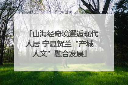 山海经奇境邂逅现代人居 宁夏贺兰“产城人文”融合发展