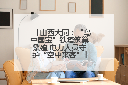山西大同：“鸟中国宝”铁塔筑巢繁殖 电力人员守护“空中来客”