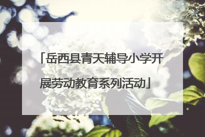 岳西县青天辅导小学开展劳动教育系列活动