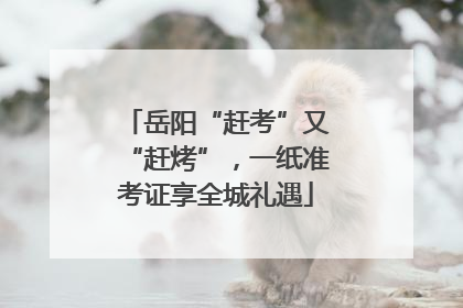 岳阳“赶考”又“赶烤”，一纸准考证享全城礼遇