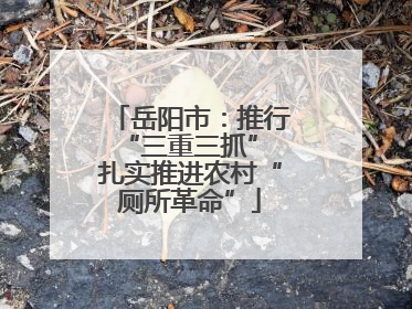 岳阳市：推行“三重三抓” 扎实推进农村“厕所革命”