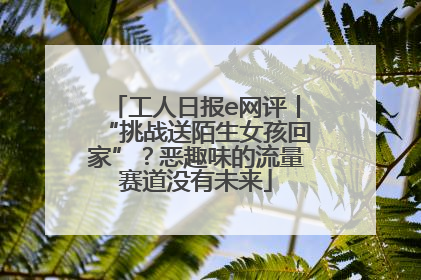 工人日报e网评丨“挑战送陌生女孩回家”？恶趣味的流量赛道没有未来