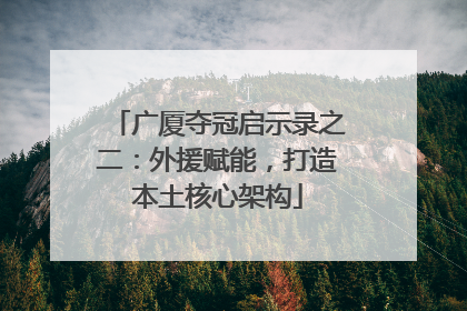 广厦夺冠启示录之二：外援赋能，打造本土核心架构