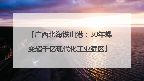 广西北海铁山港：30年蝶变超千亿现代化工业强区