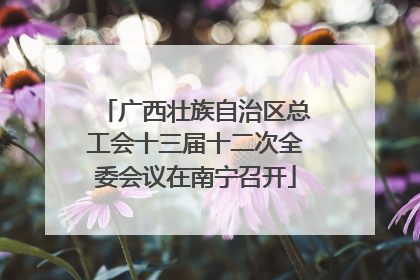 广西壮族自治区总工会十三届十二次全委会议在南宁召开