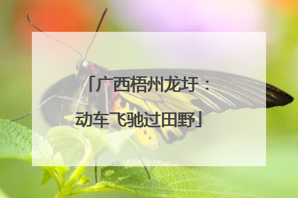 广西梧州龙圩：动车飞驰过田野