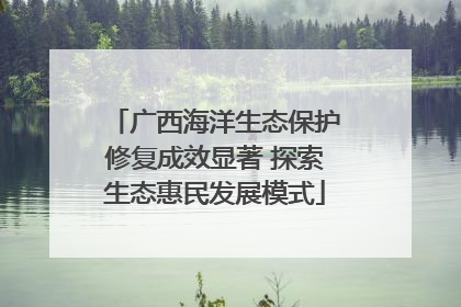广西海洋生态保护修复成效显著 探索生态惠民发展模式