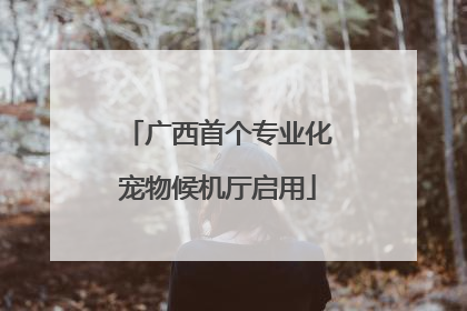 广西首个专业化宠物候机厅启用