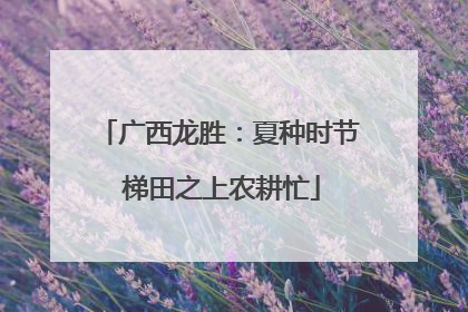 广西龙胜：夏种时节 梯田之上农耕忙