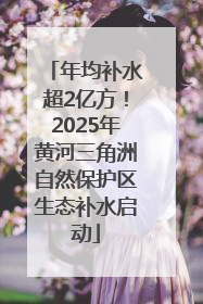 年均补水超2亿方！2025年黄河三角洲自然保护区生态补水启动