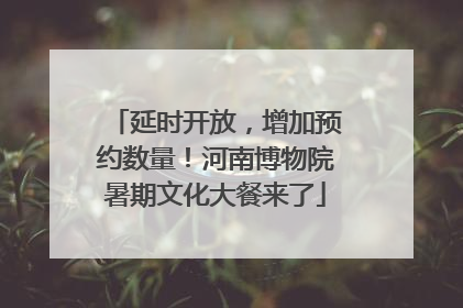 延时开放，增加预约数量！河南博物院暑期文化大餐来了