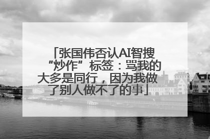 张国伟否认AI智搜“炒作”标签：骂我的大多是同行，因为我做了别人做不了的事