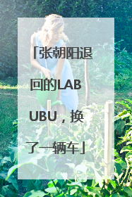 张朝阳退回的LABUBU，换了一辆车