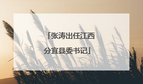 张涛出任江西分宜县委书记