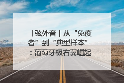 弦外音｜从“免疫者”到“典型样本”：葡萄牙极右翼崛起背后的欧洲困局
