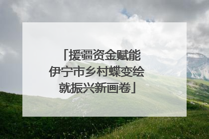 援疆资金赋能 伊宁市乡村蝶变绘就振兴新画卷