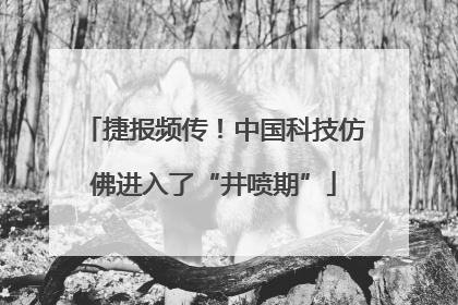 捷报频传！中国科技仿佛进入了“井喷期”