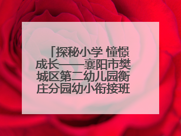 探秘小学 憧憬成长——襄阳市樊城区第二幼儿园衡庄分园幼小衔接班走进小学开展参观体验活动