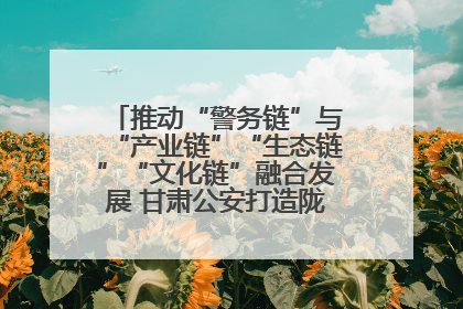推动“警务链”与“产业链”“生态链”“文化链”融合发展 甘肃公安打造陇原旅游警务品牌
