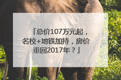 总价107万元起，名校+地铁加持，房价重回2017年？