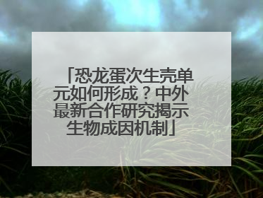 恐龙蛋次生壳单元如何形成？中外最新合作研究揭示生物成因机制