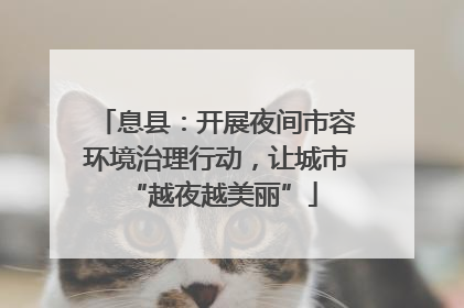 息县：开展夜间市容环境治理行动，让城市 “越夜越美丽”