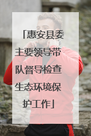 惠安县委主要领导带队督导检查生态环境保护工作