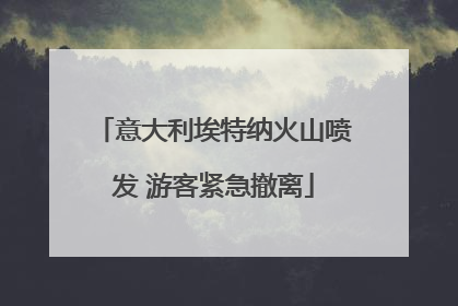 意大利埃特纳火山喷发 游客紧急撤离