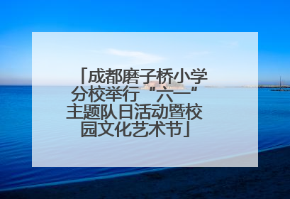 成都磨子桥小学分校举行“六一”主题队日活动暨校园文化艺术节