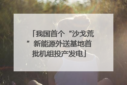 我国首个“沙戈荒”新能源外送基地首批机组投产发电