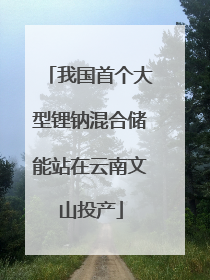 我国首个大型锂钠混合储能站在云南文山投产