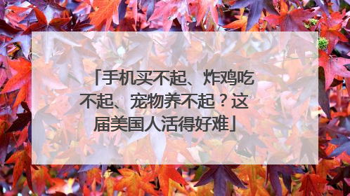 手机买不起、炸鸡吃不起、宠物养不起？这届美国人活得好难