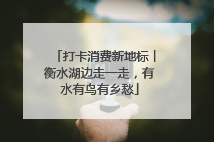 打卡消费新地标丨衡水湖边走一走，有水有鸟有乡愁