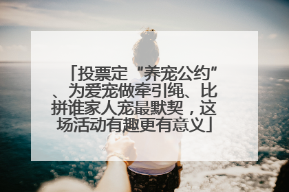 投票定“养宠公约”、为爱宠做牵引绳、比拼谁家人宠最默契，这场活动有趣更有意义