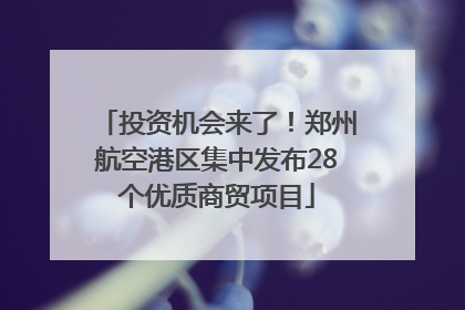 投资机会来了！郑州航空港区集中发布28个优质商贸项目