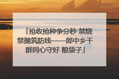 抢收抢种争分秒 禁烧禁抛筑防线——郎中乡干群同心守好 粮袋子