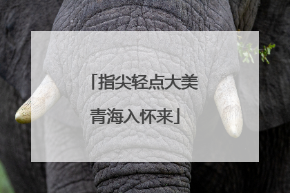 指尖轻点大美青海入怀来