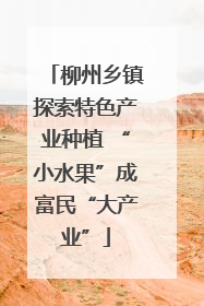 柳州乡镇探索特色产业种植 “小水果”成富民“大产业”