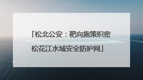 松北公安：靶向施策织密松花江水域安全防护网
